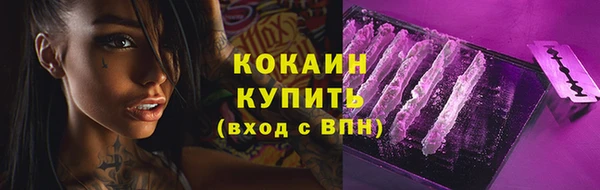 прущие грибы Арсеньев
