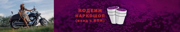 прущие грибы Арсеньев