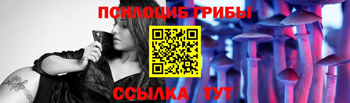 Батайск  закладки  Вход с VPN  Псилоцибиновые грибы Magic Shrooms  Галлюциногенные грибы GOLDEN TEACHER 